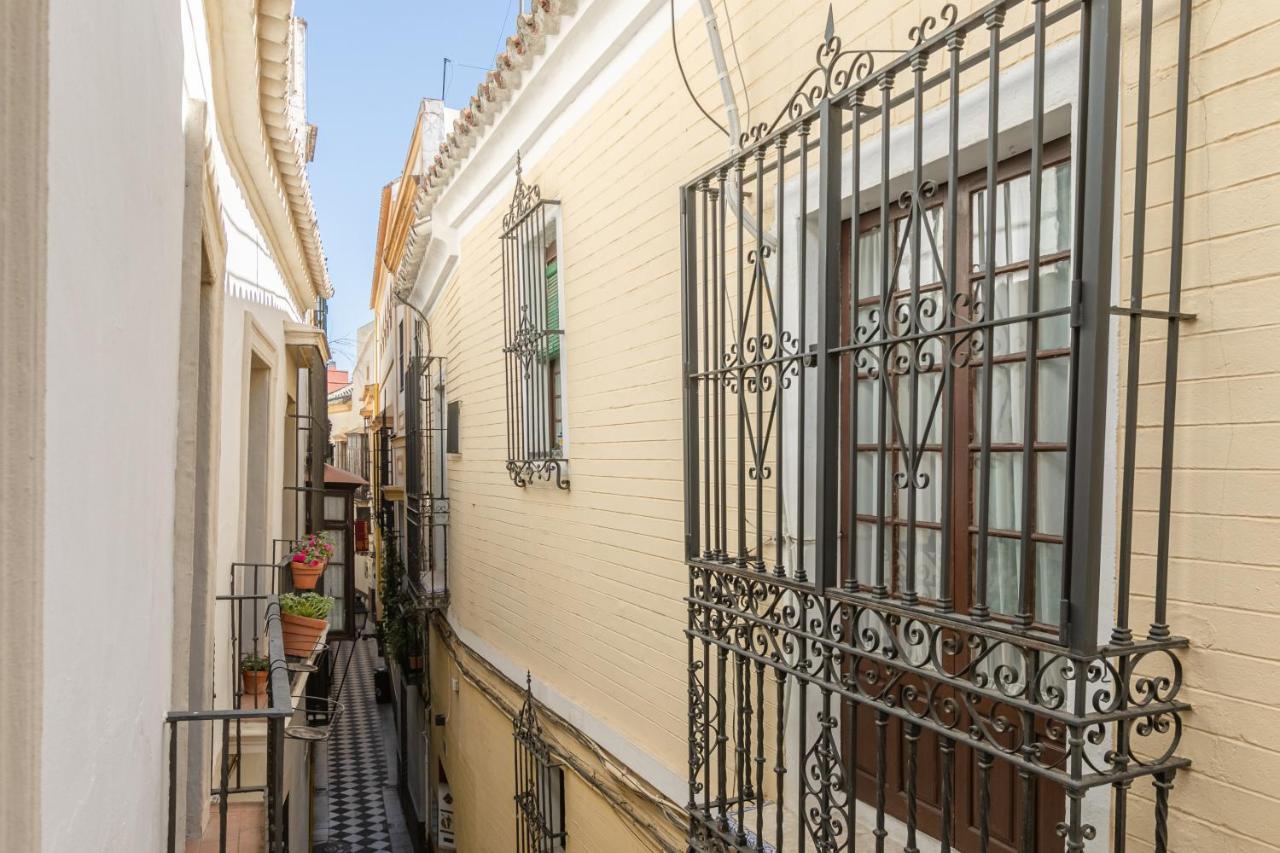 Pensión Nuea Casa17